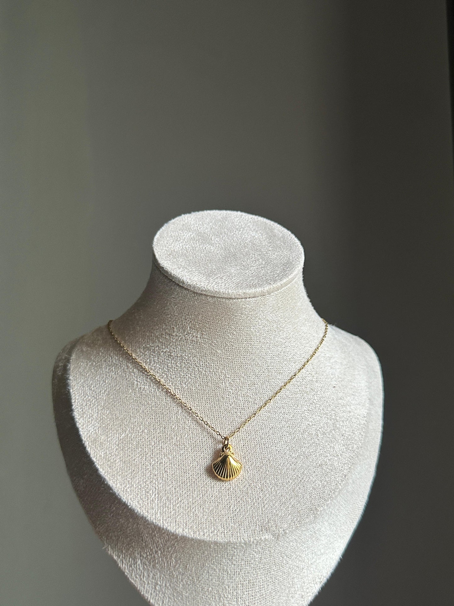 Shell Necklace
