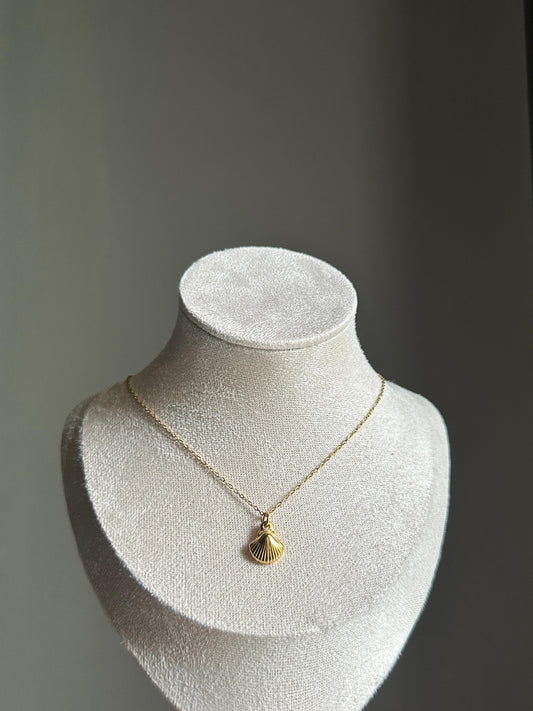 Shell Necklace
